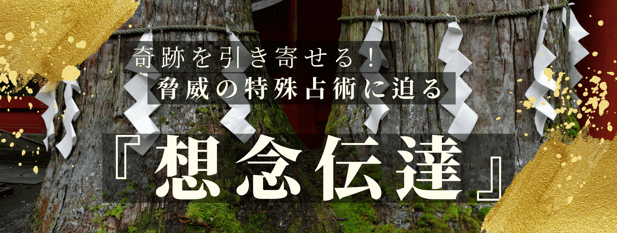 奇跡を引き寄せる！脅威の特殊占術 第08回 美耶真 心寧霊能者『想念伝達』