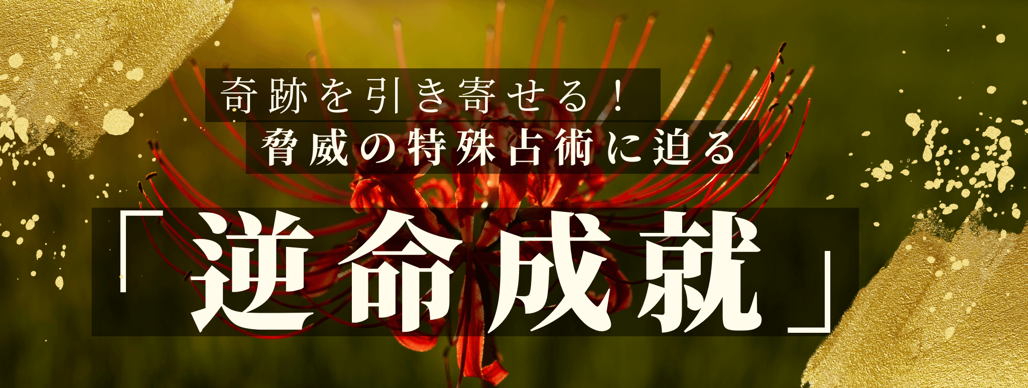 奇跡を引き寄せる！脅威の特殊占術 第26回 天方 莉乃（アマガタ リノ）霊能者『逆命成就』