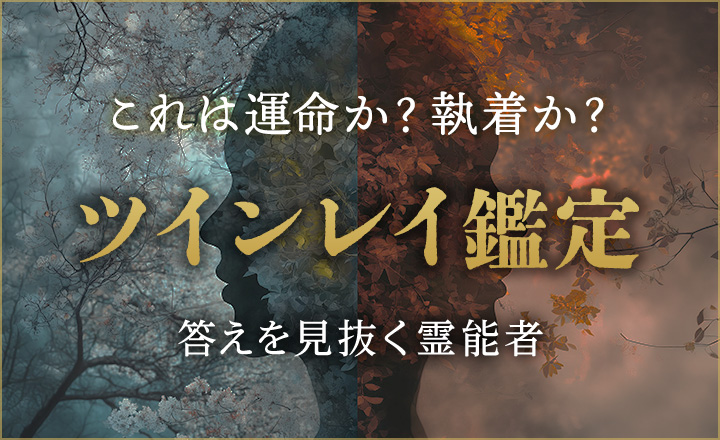 特集：ツインレイ鑑定